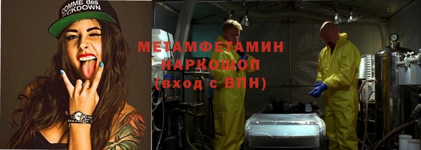 сатива Верея