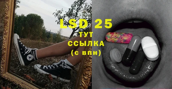 крисы Володарск