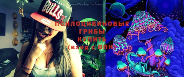сатива Верея