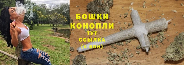 сатива Верея