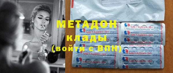 сатива Верея