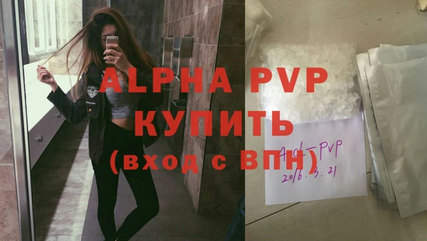 сатива Верея