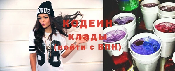 сатива Верея