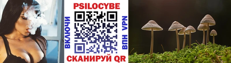 Псилоцибиновые грибы мухоморы  Выборг 