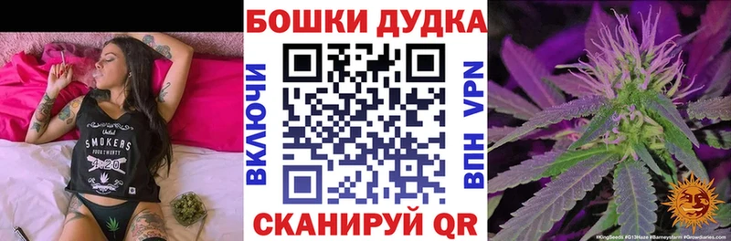 МАРИХУАНА OG Kush  KRAKEN зеркало  Выборг  цены  